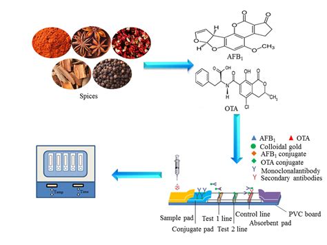 aflatoxine detection